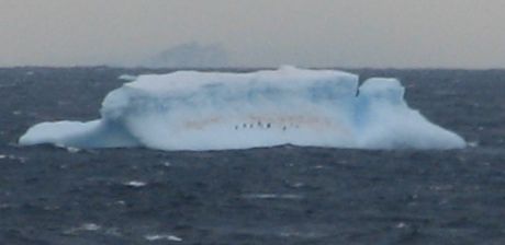 icebergs_2750.jpg