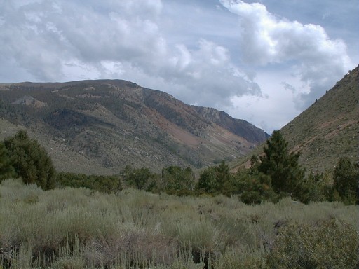 the view up canyon