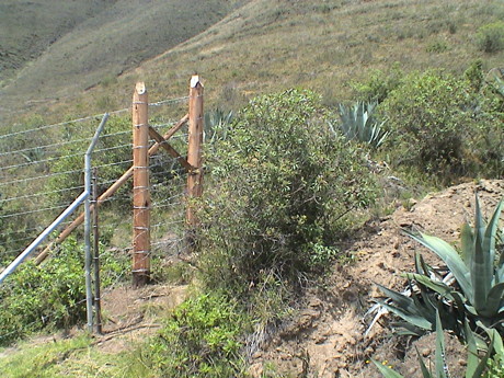 100805_ecuador_hike_to_watchtower_fence_corner_9037.jpg