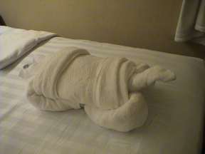 towel turtle