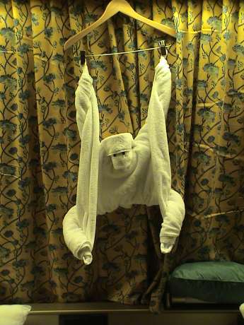 towel monkey
